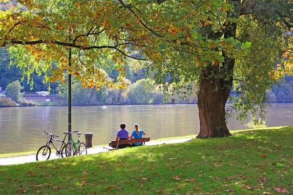 Pourquoi les baroudeurs et cyclotouristes optent-ils principalement pour l'emplacement plutôt qu'un autre type de location de vacances dans les campings des Cévennes ?