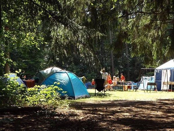 Notre sélection des campings de Royan qui peuvent accueillir un groupe sans problème