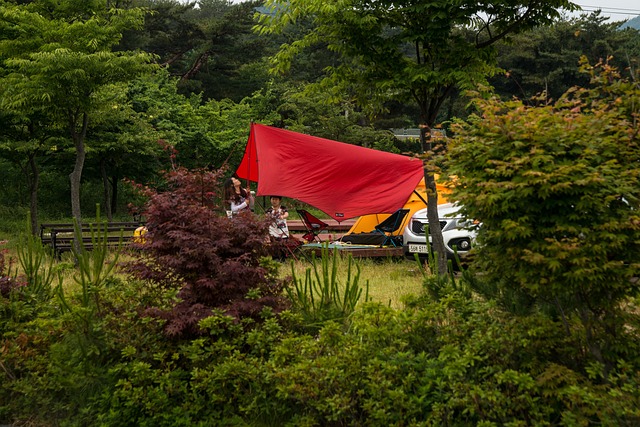 Quels sont les avantages des emplacements de camping-cars avec sanitaire privé dans le sud de la France ?